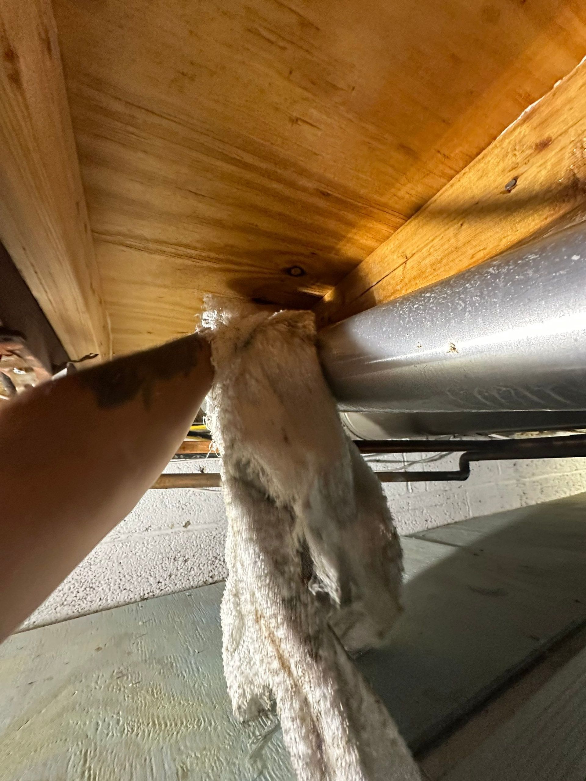 cleaning mold spores at a home in Melville New York 