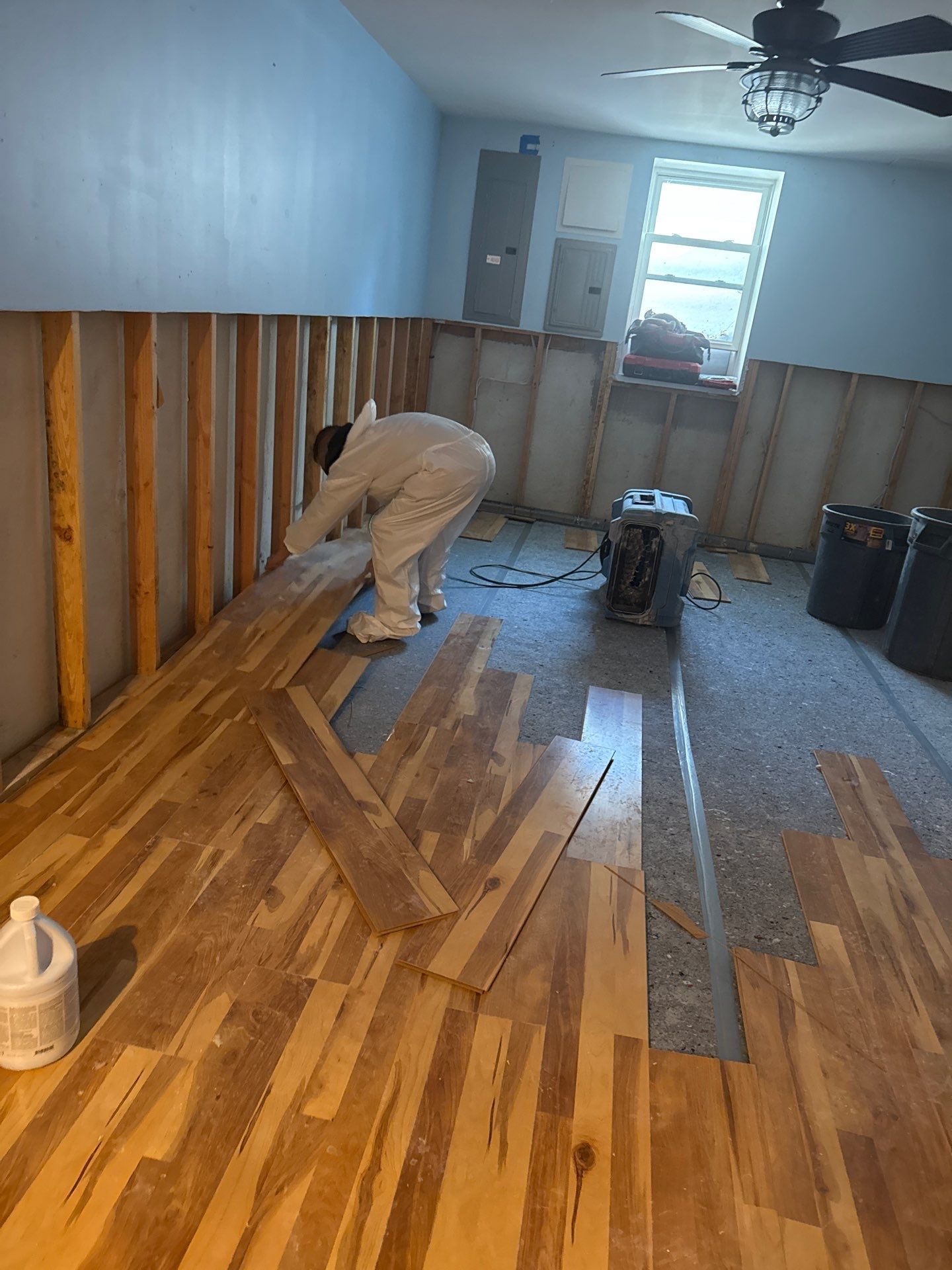 Basement mold remediation at home in Westhampton NY