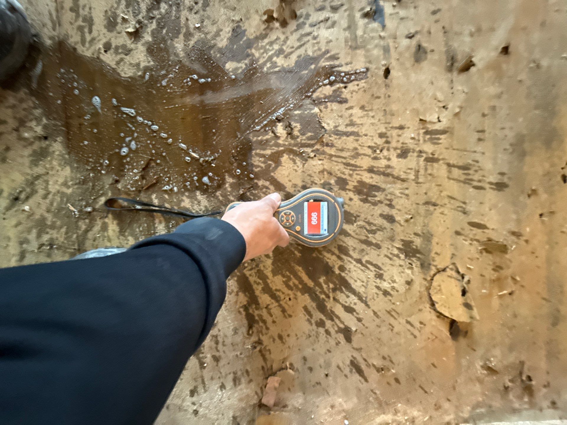 Taking moisture readings of wet flooring at a home  in Patchogue NY