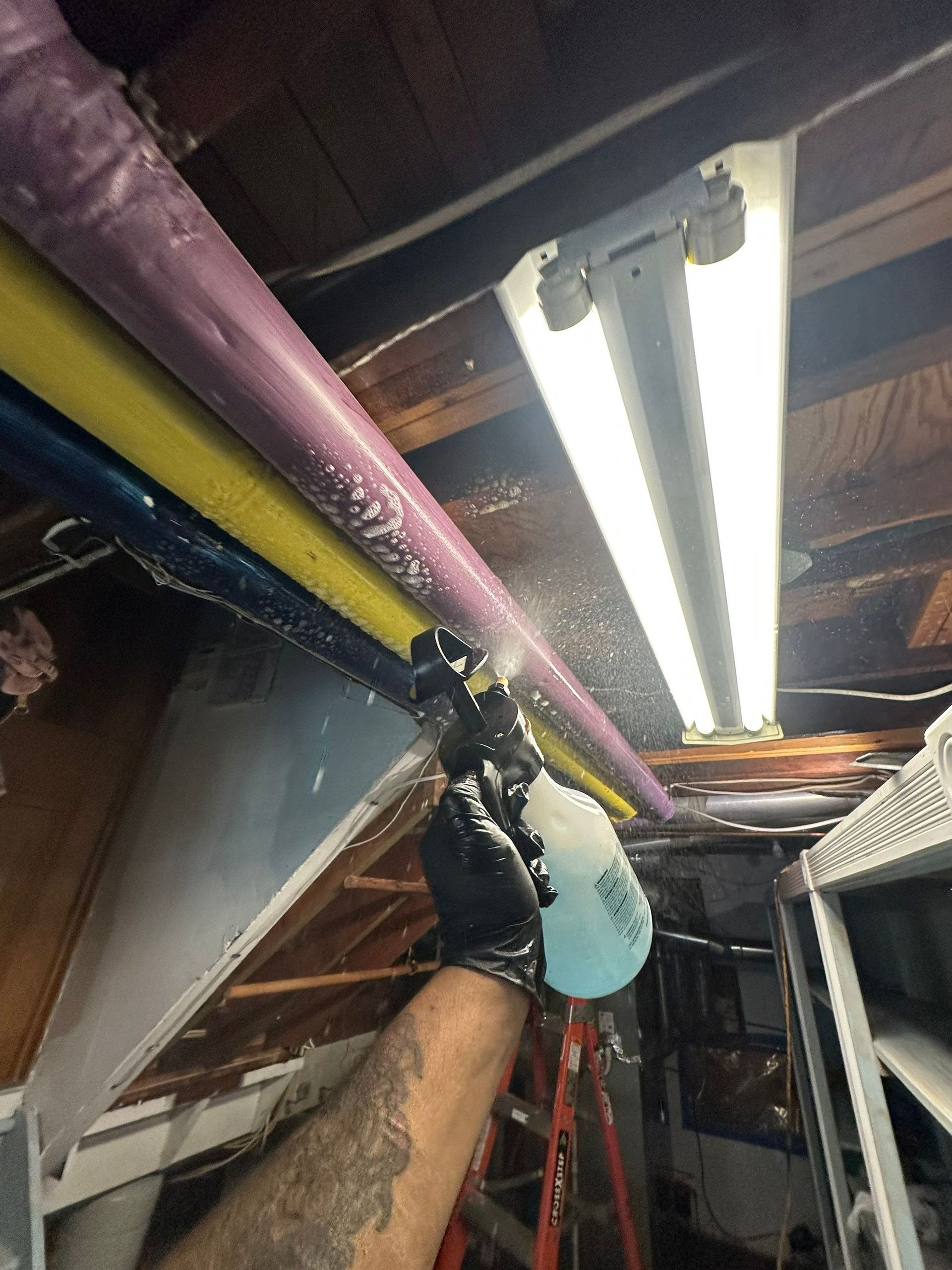 spraying mold enzyme solution at a home in Melville New York 