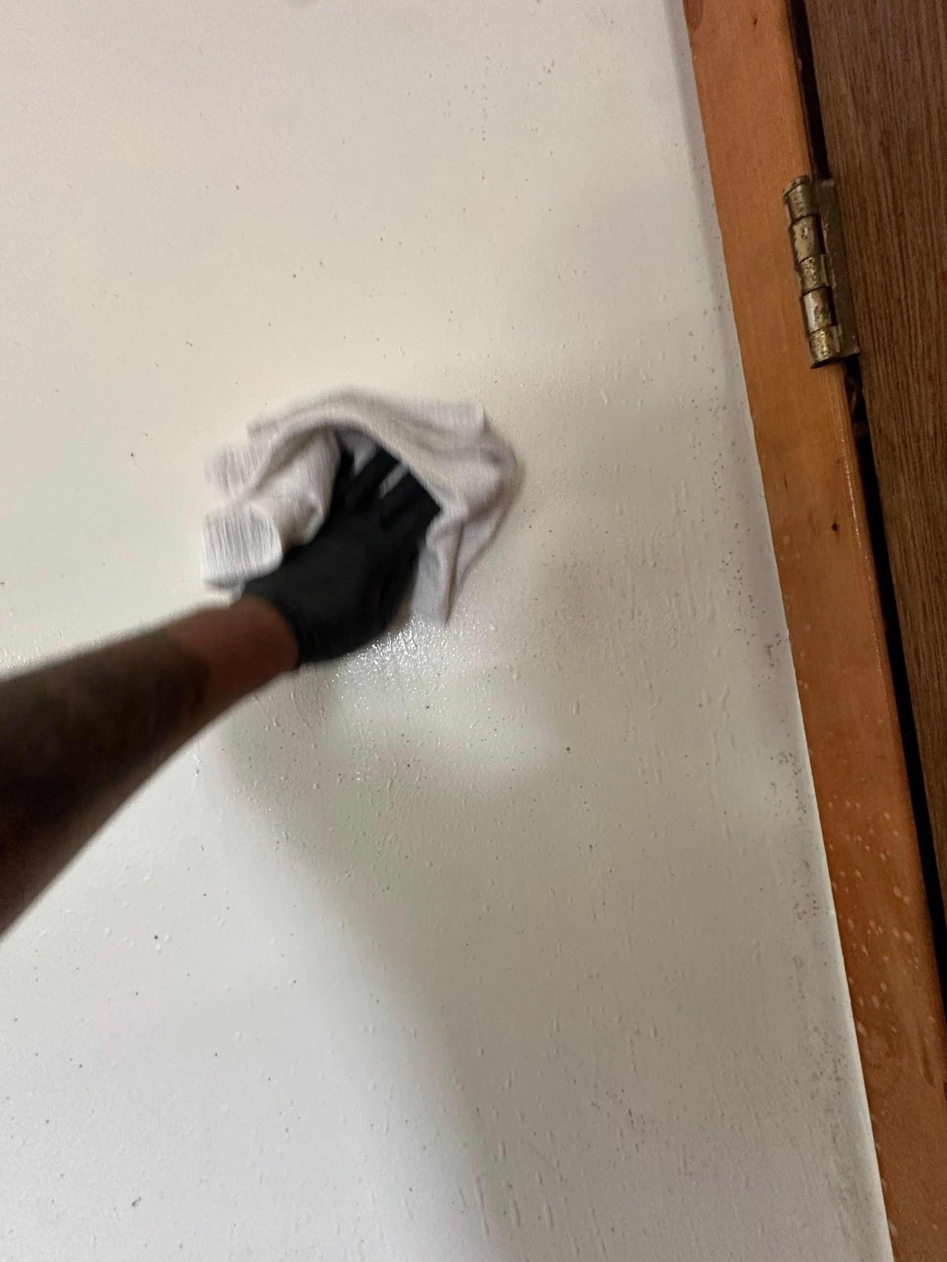 Mold Removal Services in Suffolk County