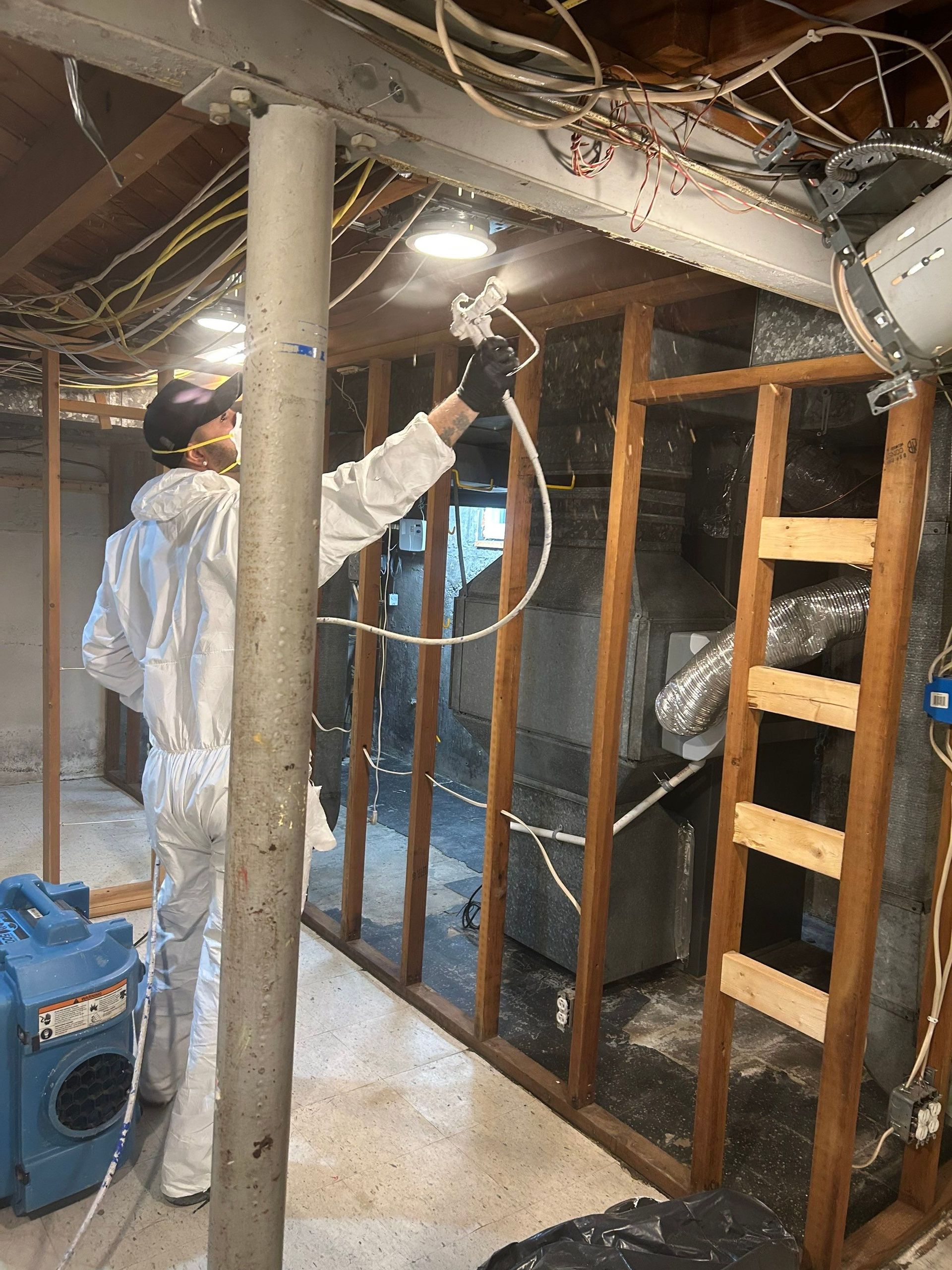 applying mold encapsulation in  a basement  in Greenlawn New York