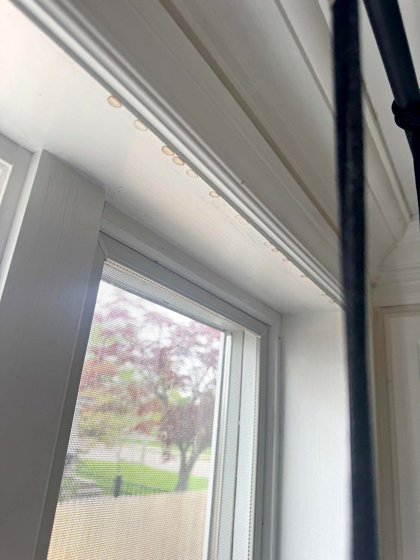 Water-damaged ceiling and mold spreading in a Long Island home