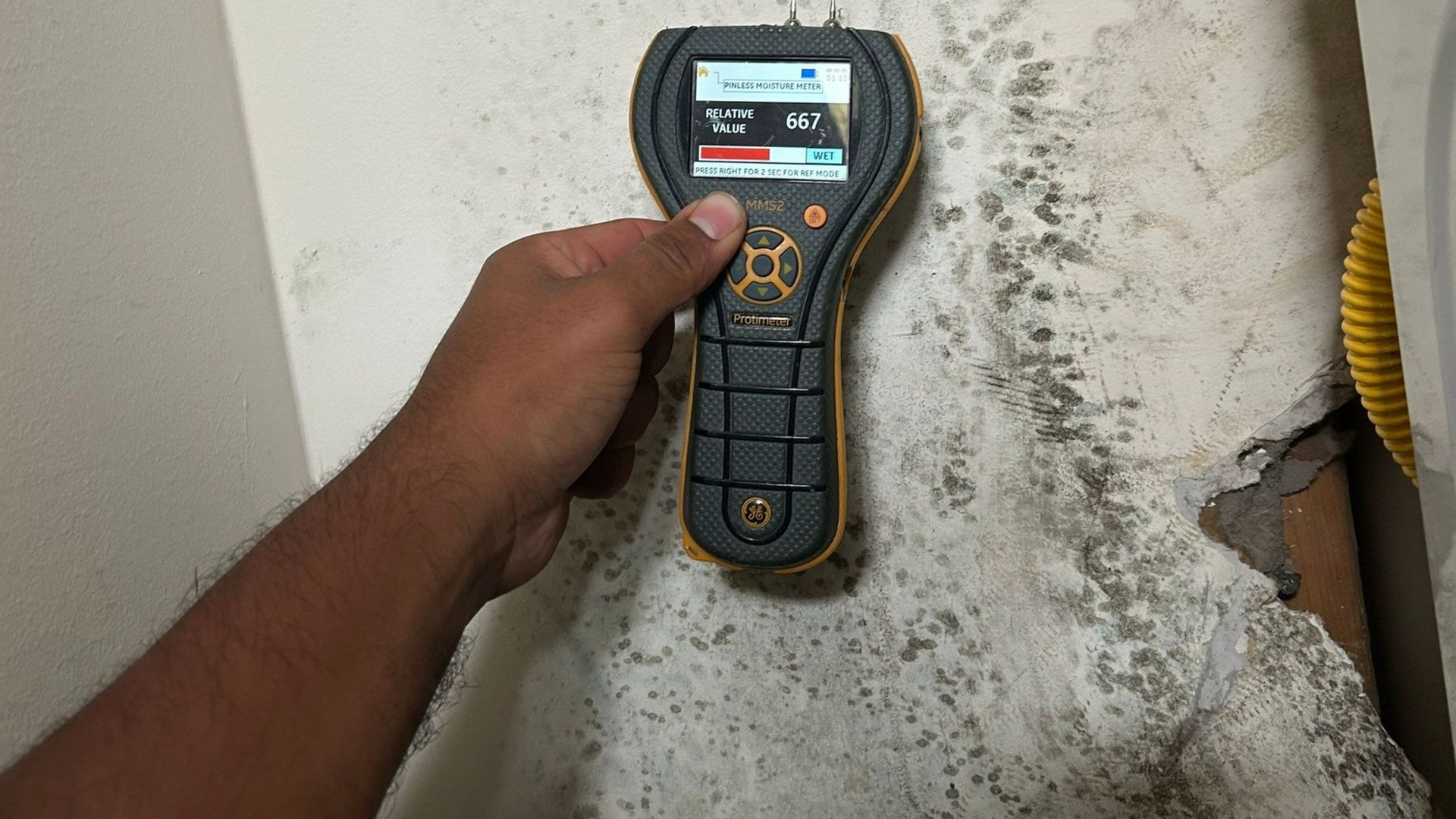 Mold remediation companies on Long Island