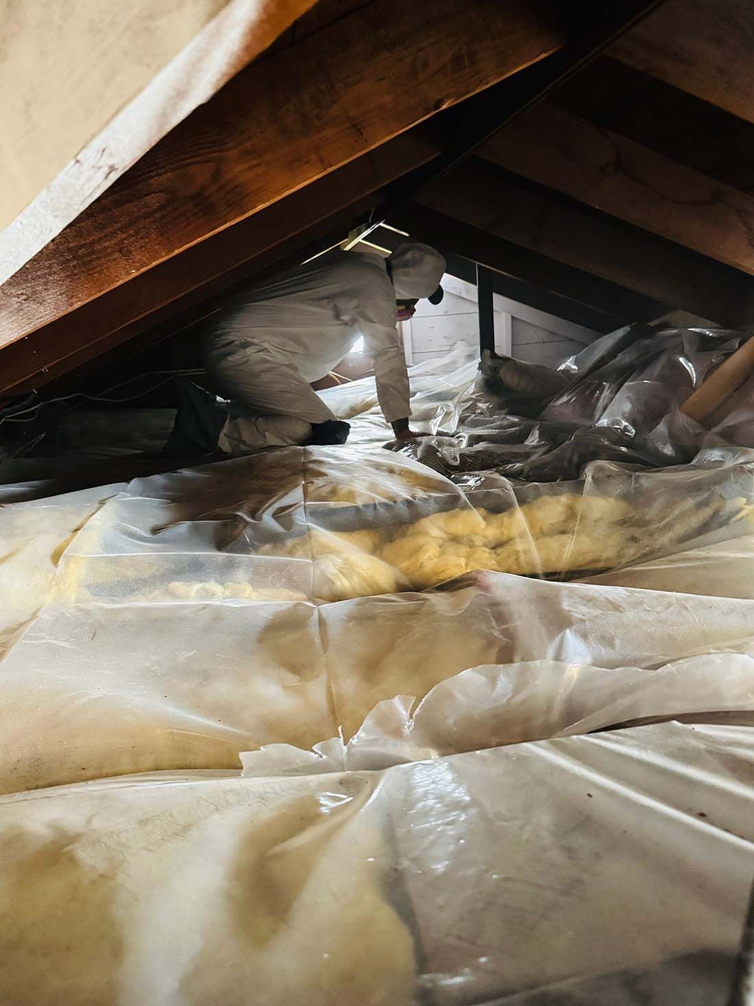 attic mold containment Long Island