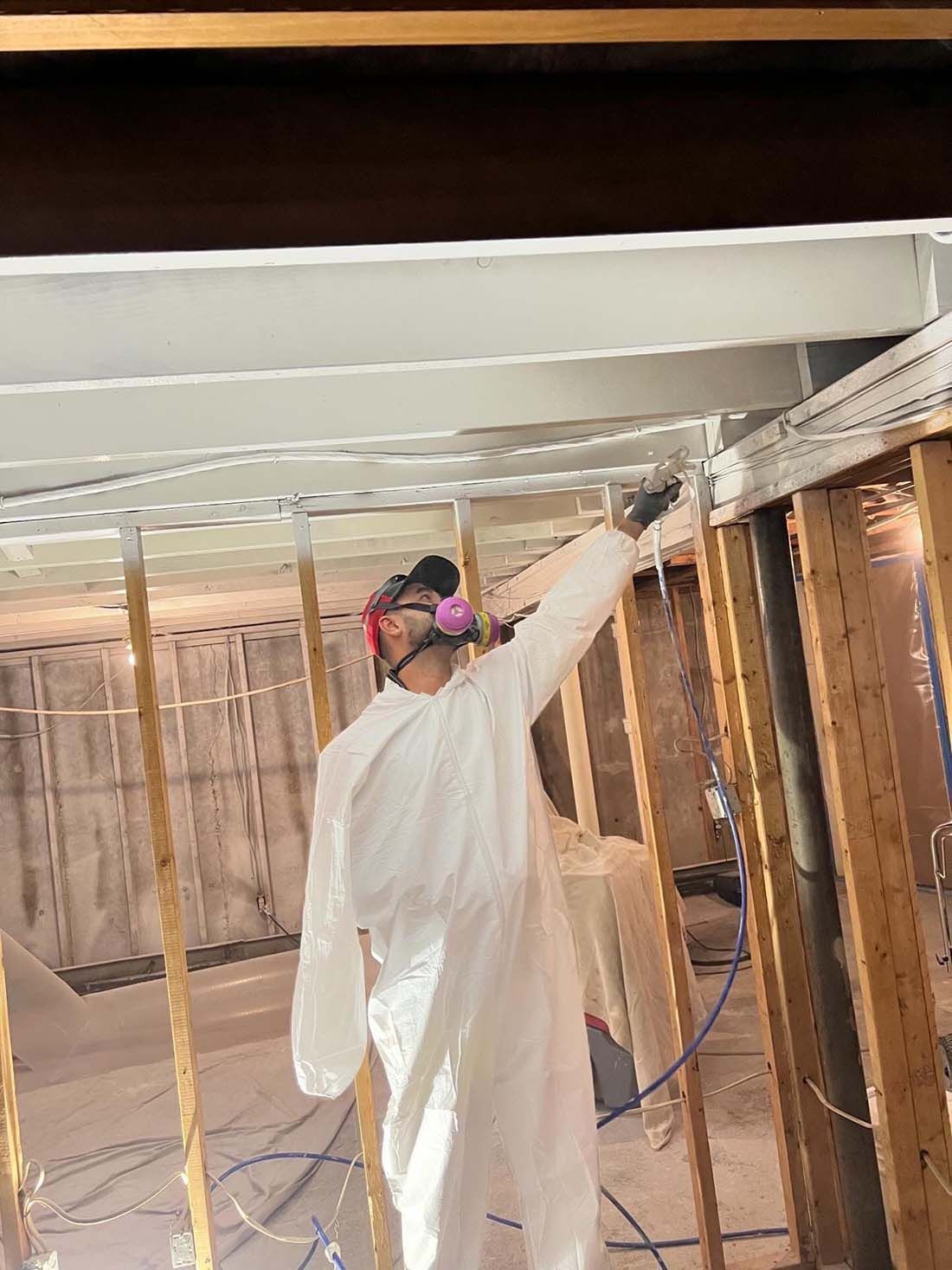 mold encapsulation Service Long Island