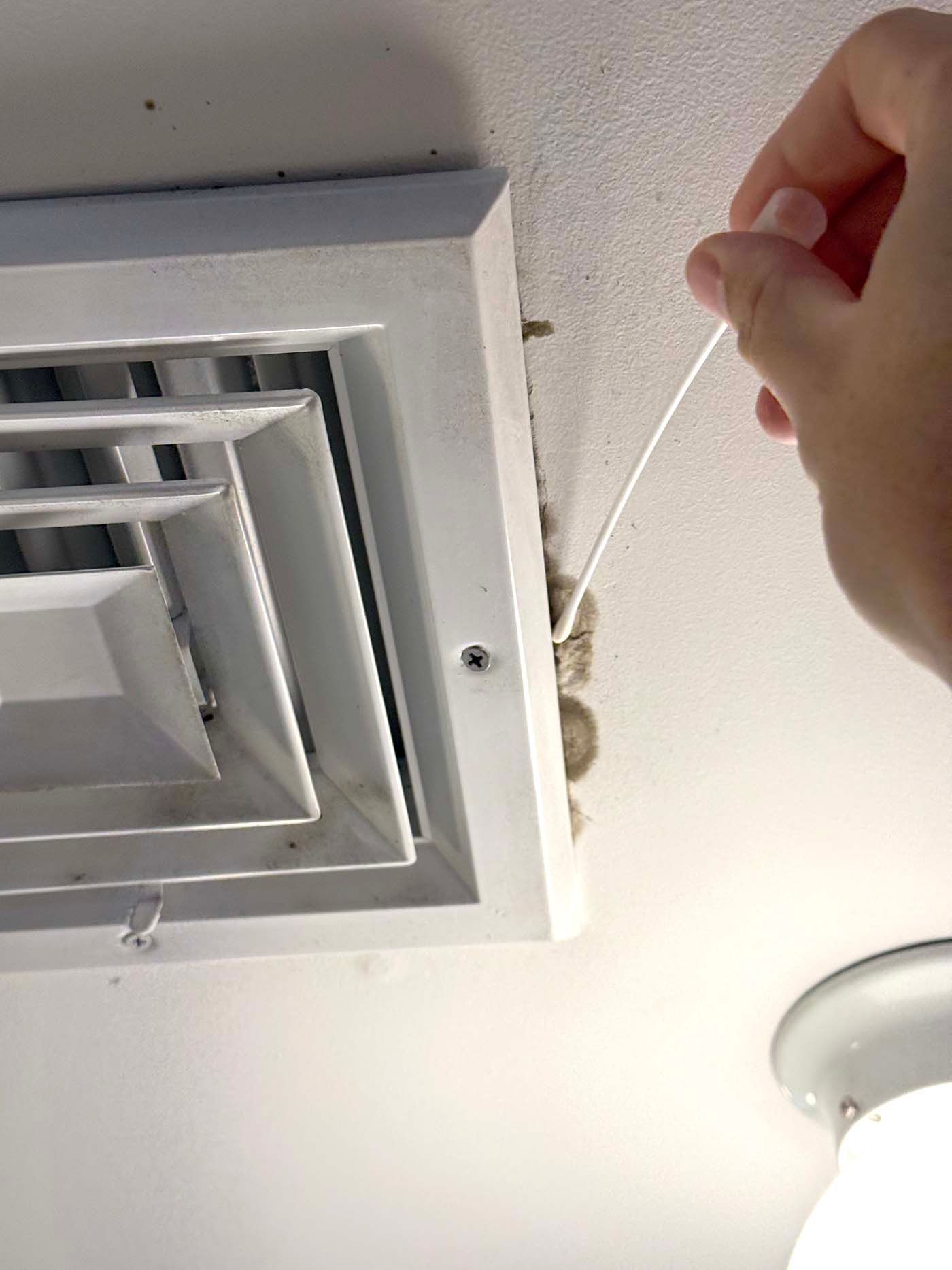 Mold testing Long Island