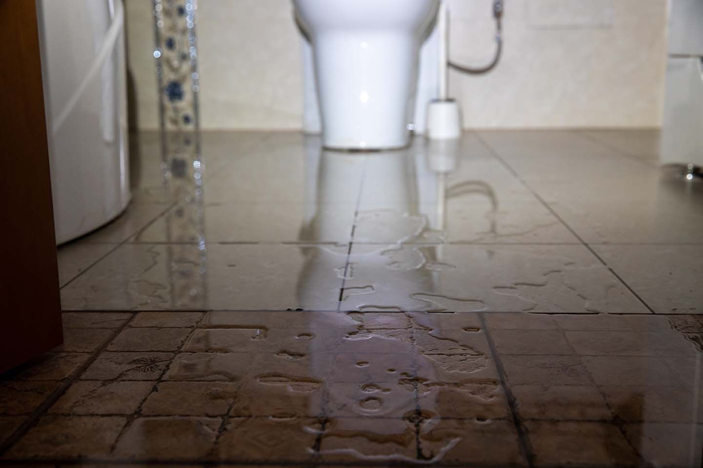 IICRC-certified technician performing sewage backup cleanup in a Long Island home