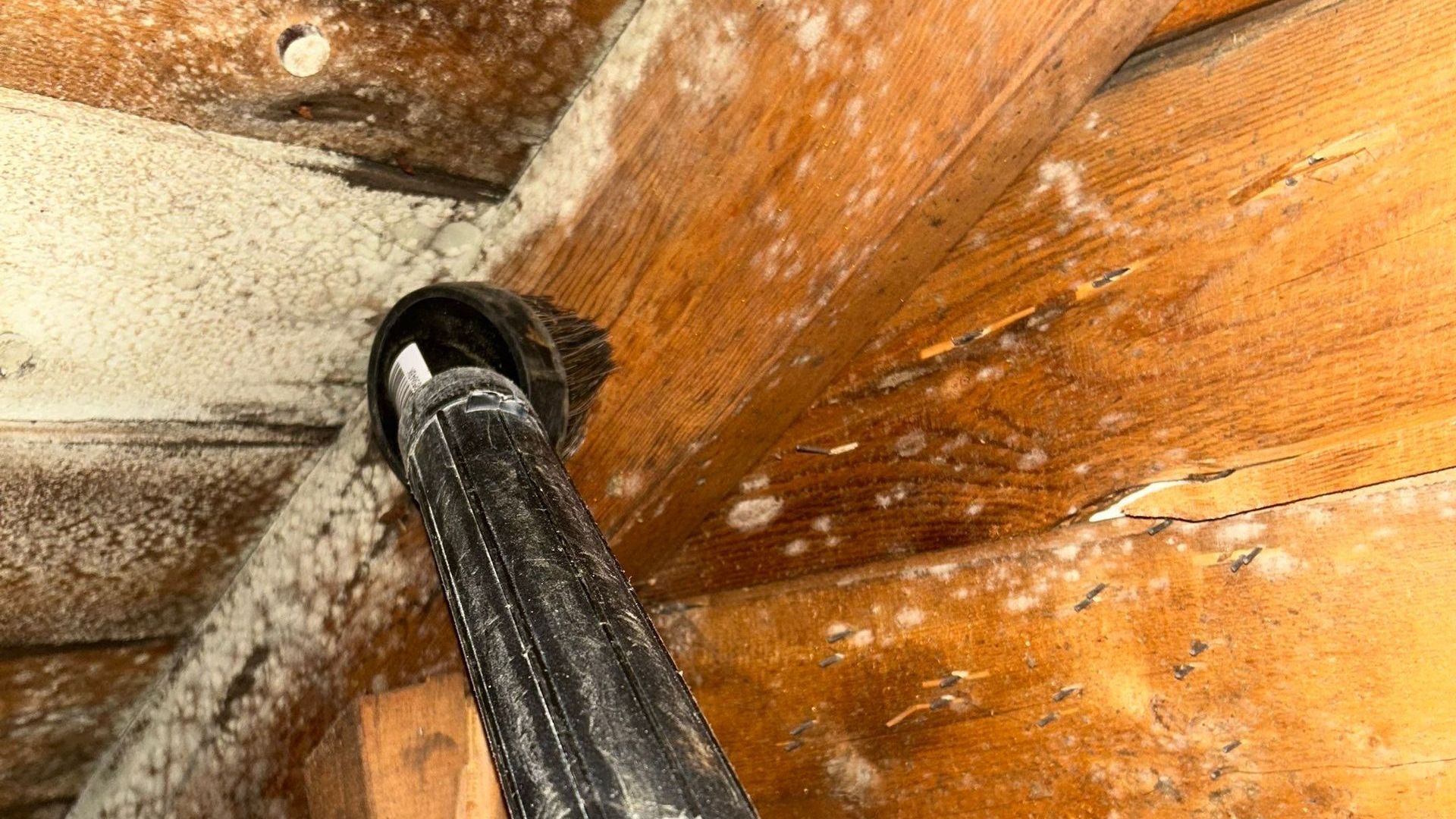 Mold growing in attic due to high humidity in a Long Island home