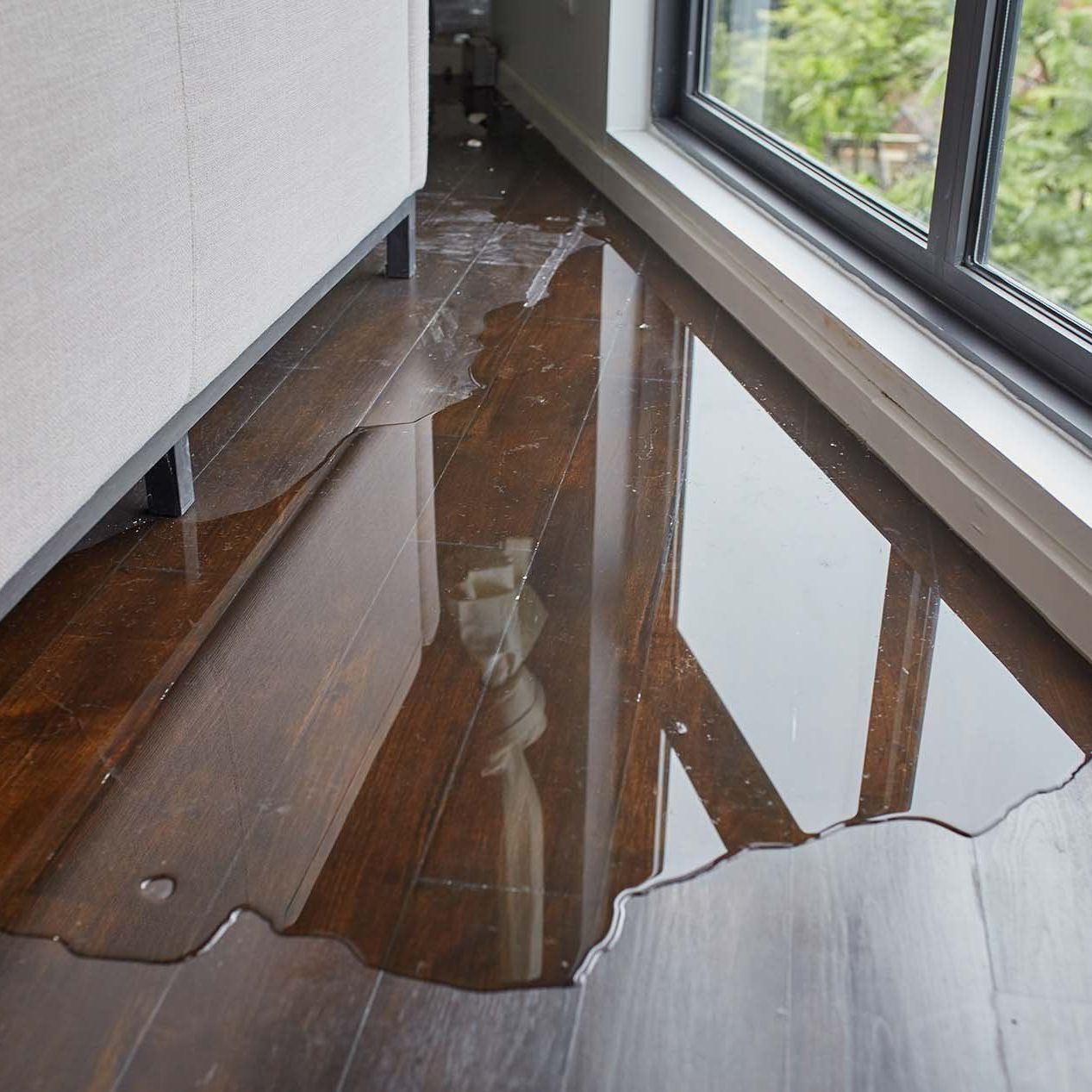 Hardwood floor drying Long Island