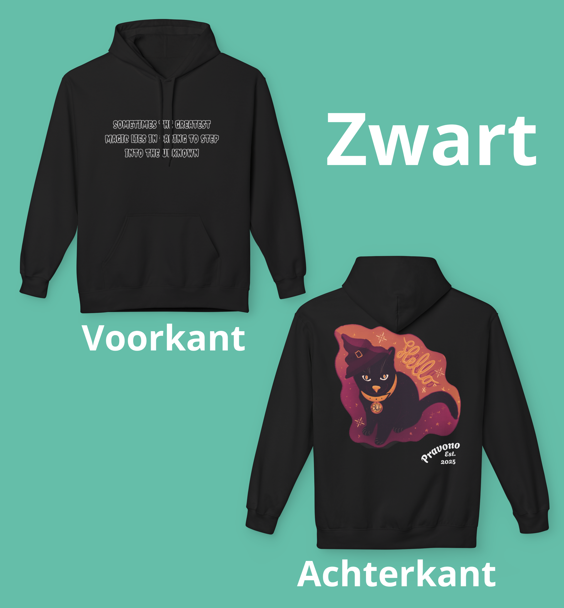 De magische kat hoody 03: voor degende die durft te dromen.