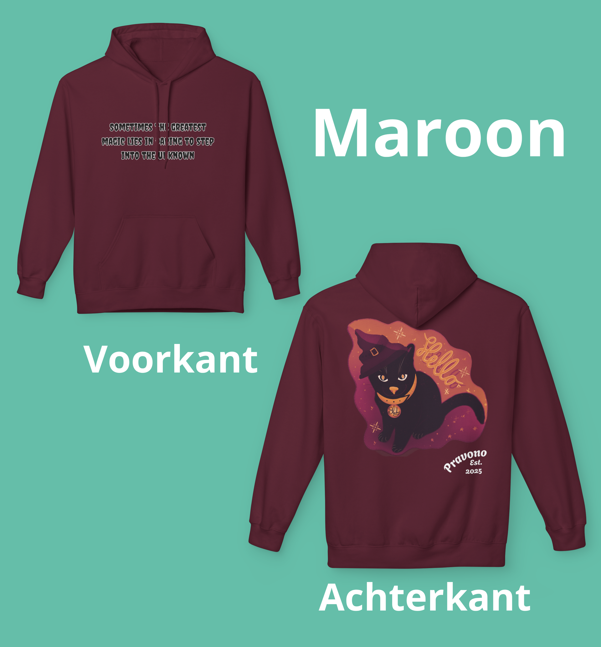 De magische kat hoody 03: voor degende die durft te dromen.