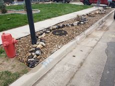 A red fire hydrant is sitting on the side of the road next to a sidewalk.