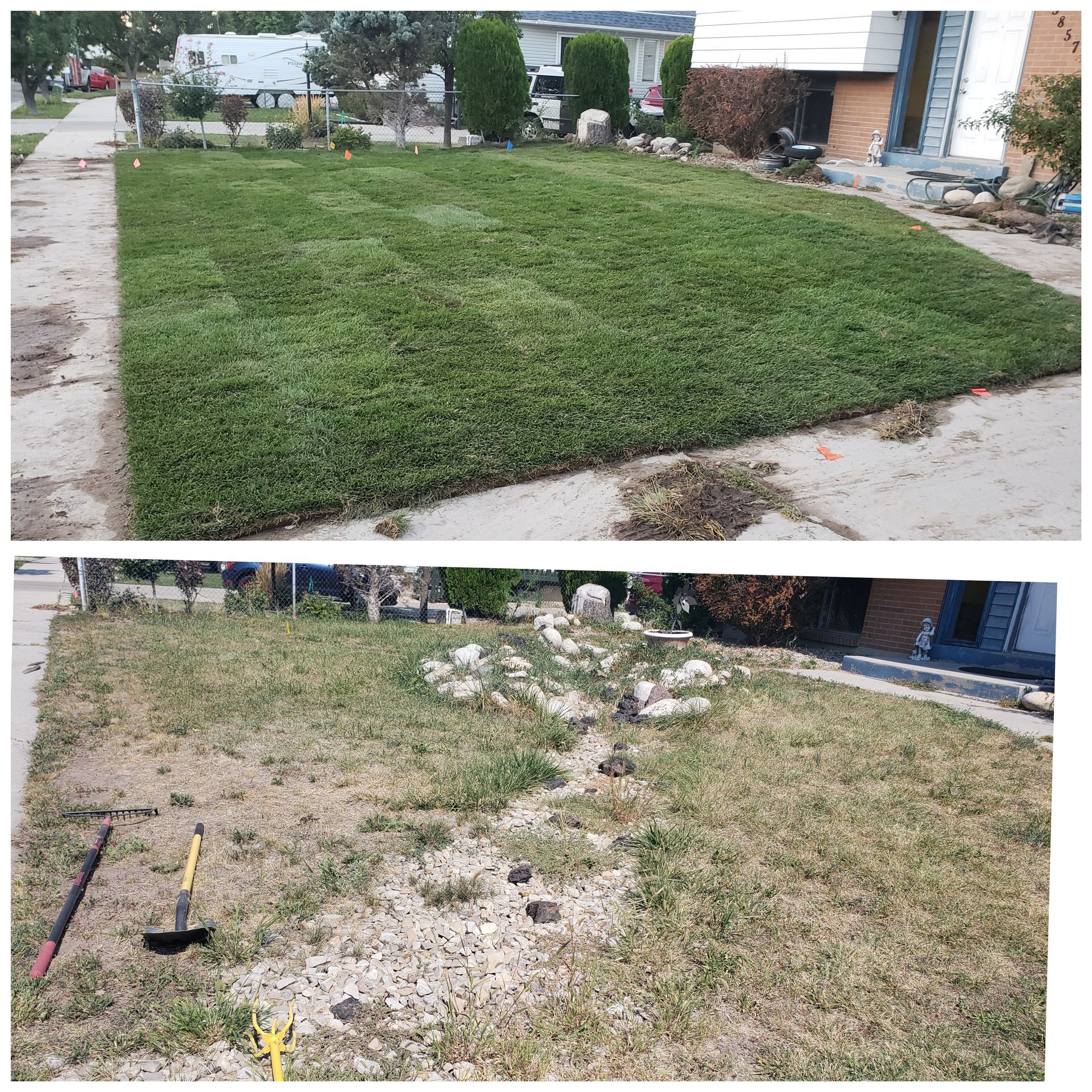 A before and after picture of a lawn with a shovel.