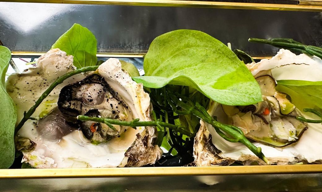 Un primo piano di un piatto di cibo con ostriche e foglie verdi.