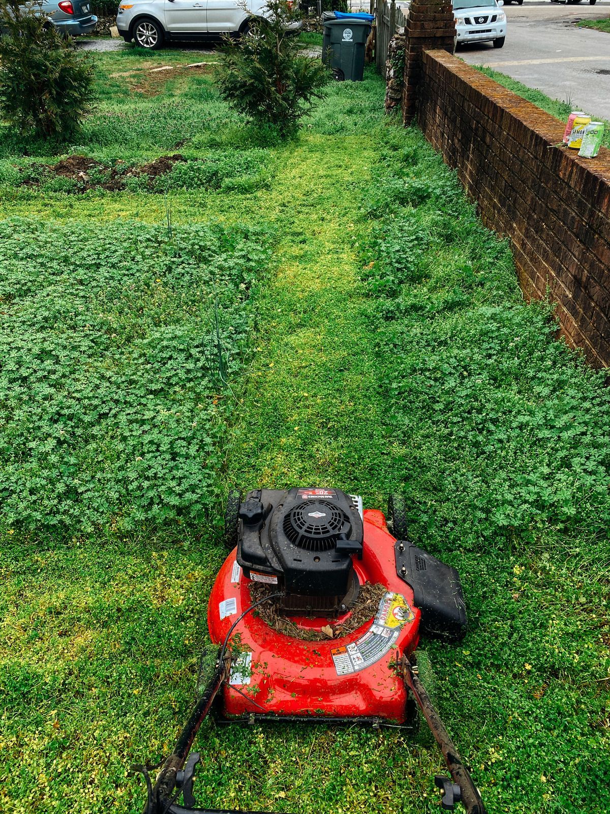 Red lawnmower mowing a patch of green clover in a yard with a brick wall.