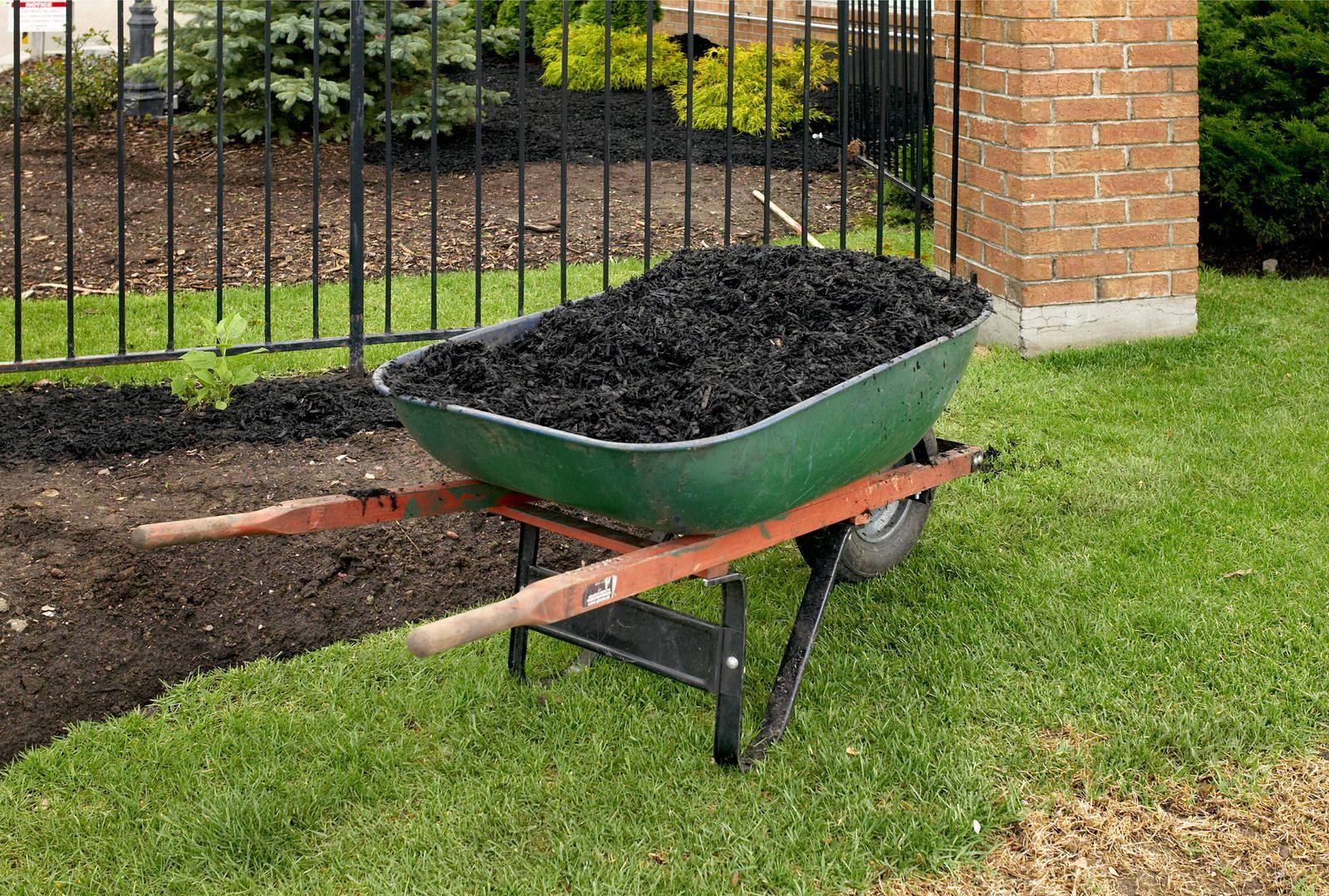 Wheelbarrow filled with black mulch on grass next to a black fence and brick wall.