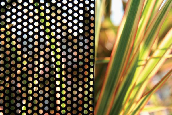 Black Perforated Metal Screen Next to Plant — Abundance Blinds In Charmhaven, NSW