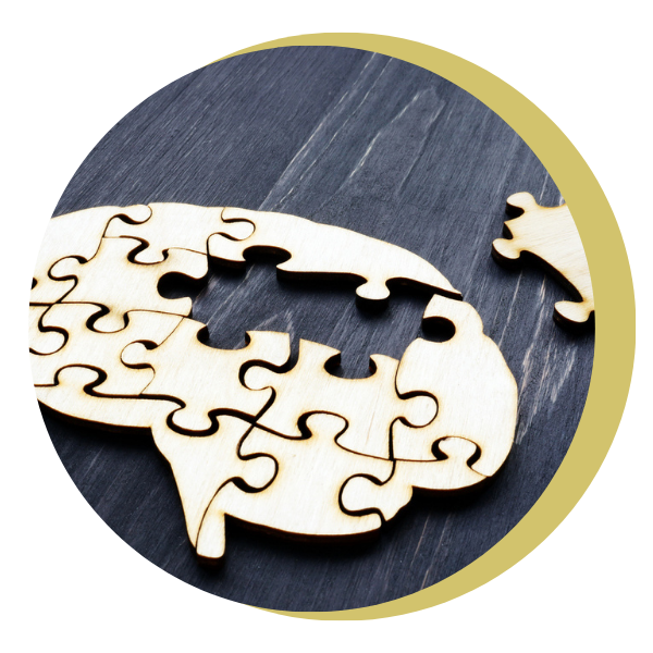 A wooden puzzle in the shape of a brain