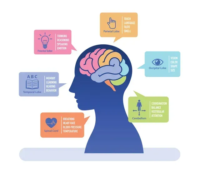A silhouette of a person 's head with a brain and speech bubbles around it.