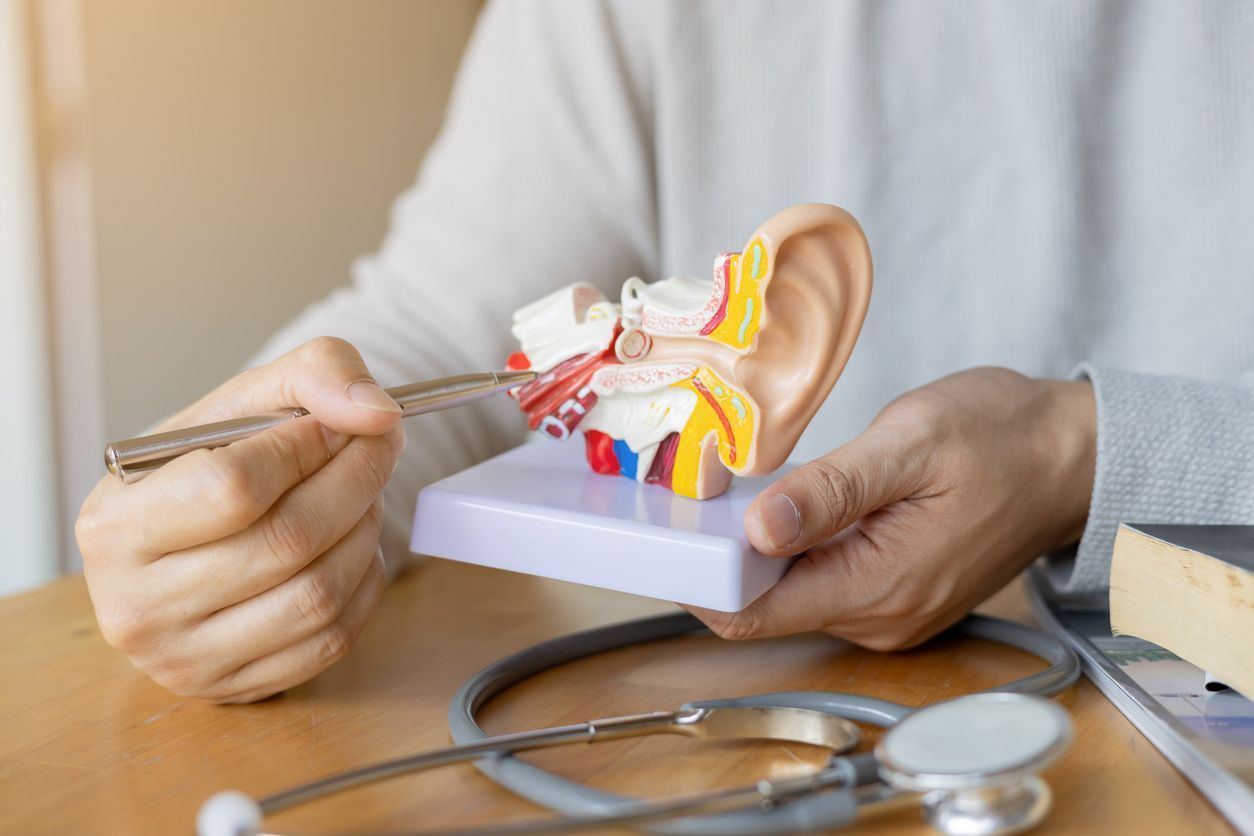 Person pointing to a model of the ear, with a stethoscope on a table.