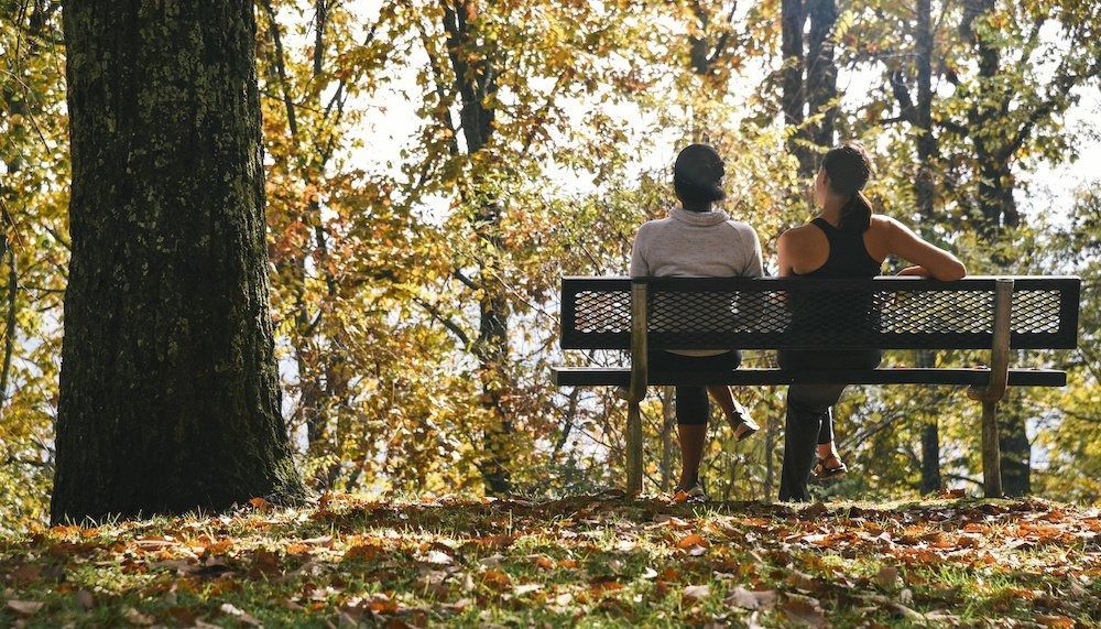 Two people are sitting on a park bench in the woods