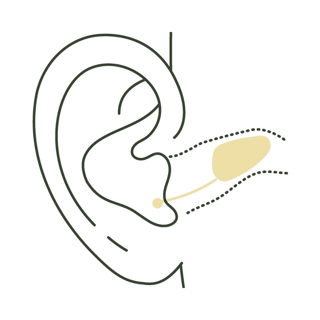 Outline of an ear, with highlighted section showing the placement of a hearing aid.
