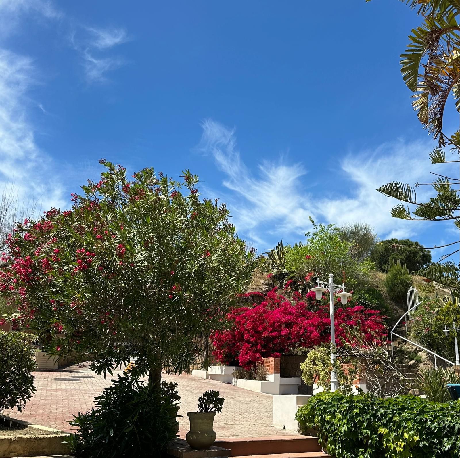Un giardino con tanti fiori e alberi in una giornata di sole