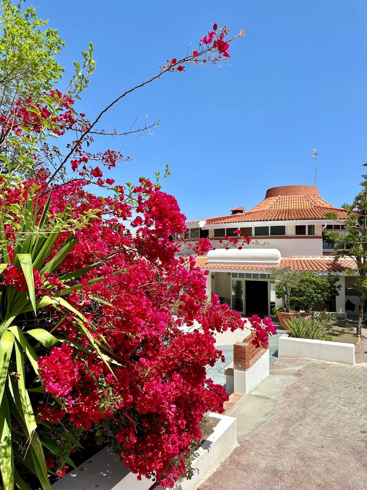 Una casa con fiori rossi davanti