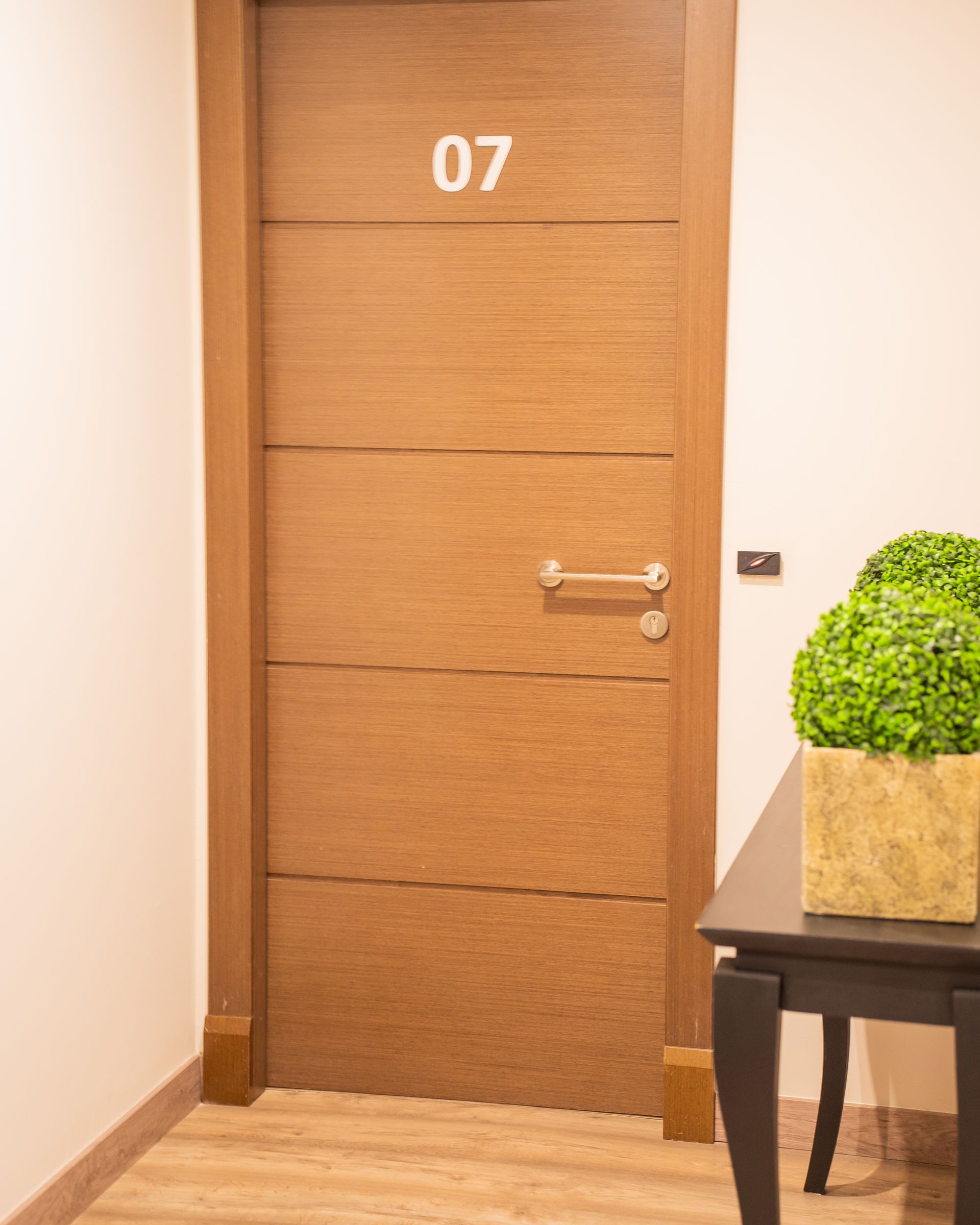 Puerta de madera con numero 07. Mesa auxiliar con planta verde.