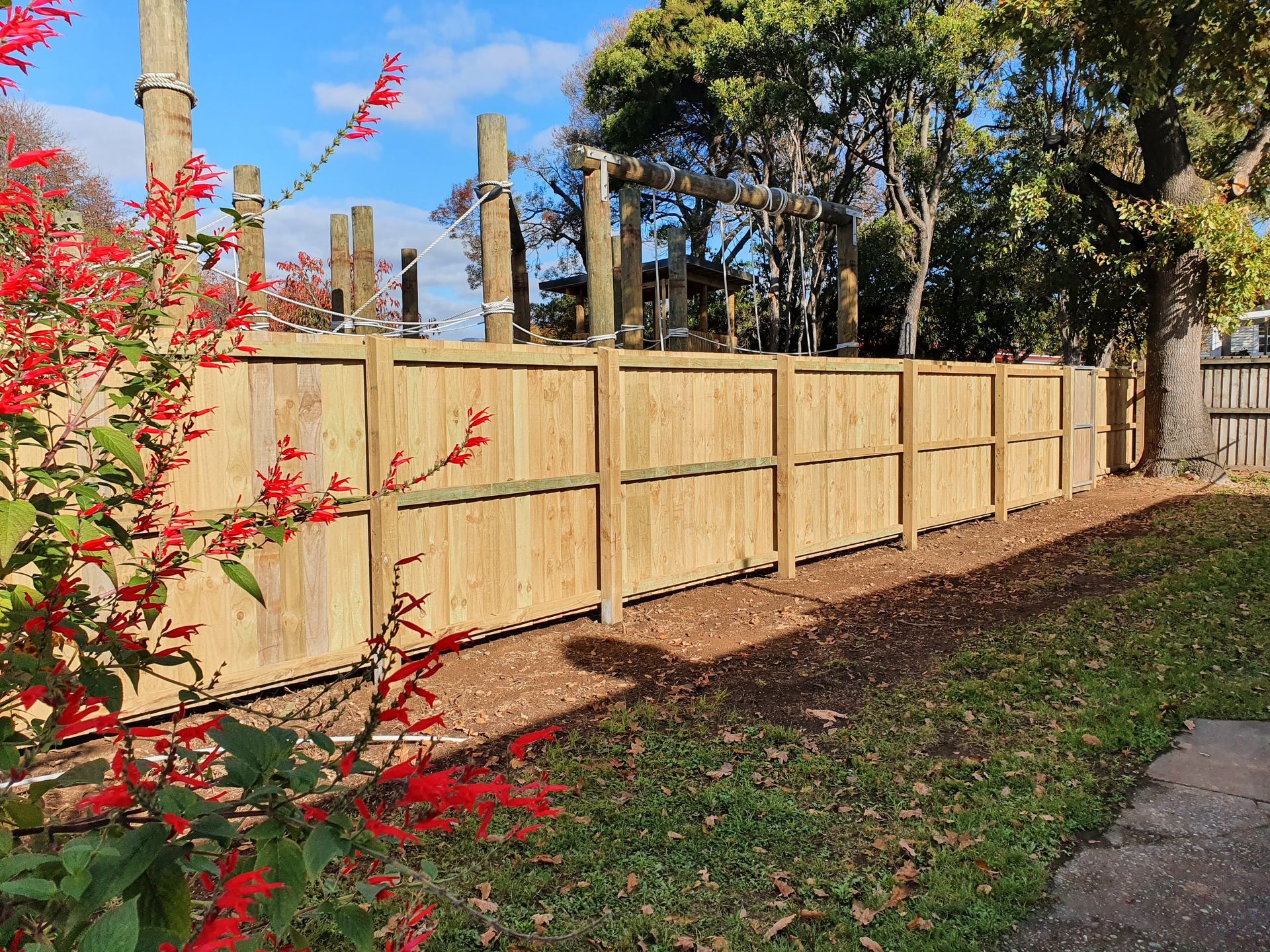 A wooden fence with red flowers in the foreground and trees in the background.