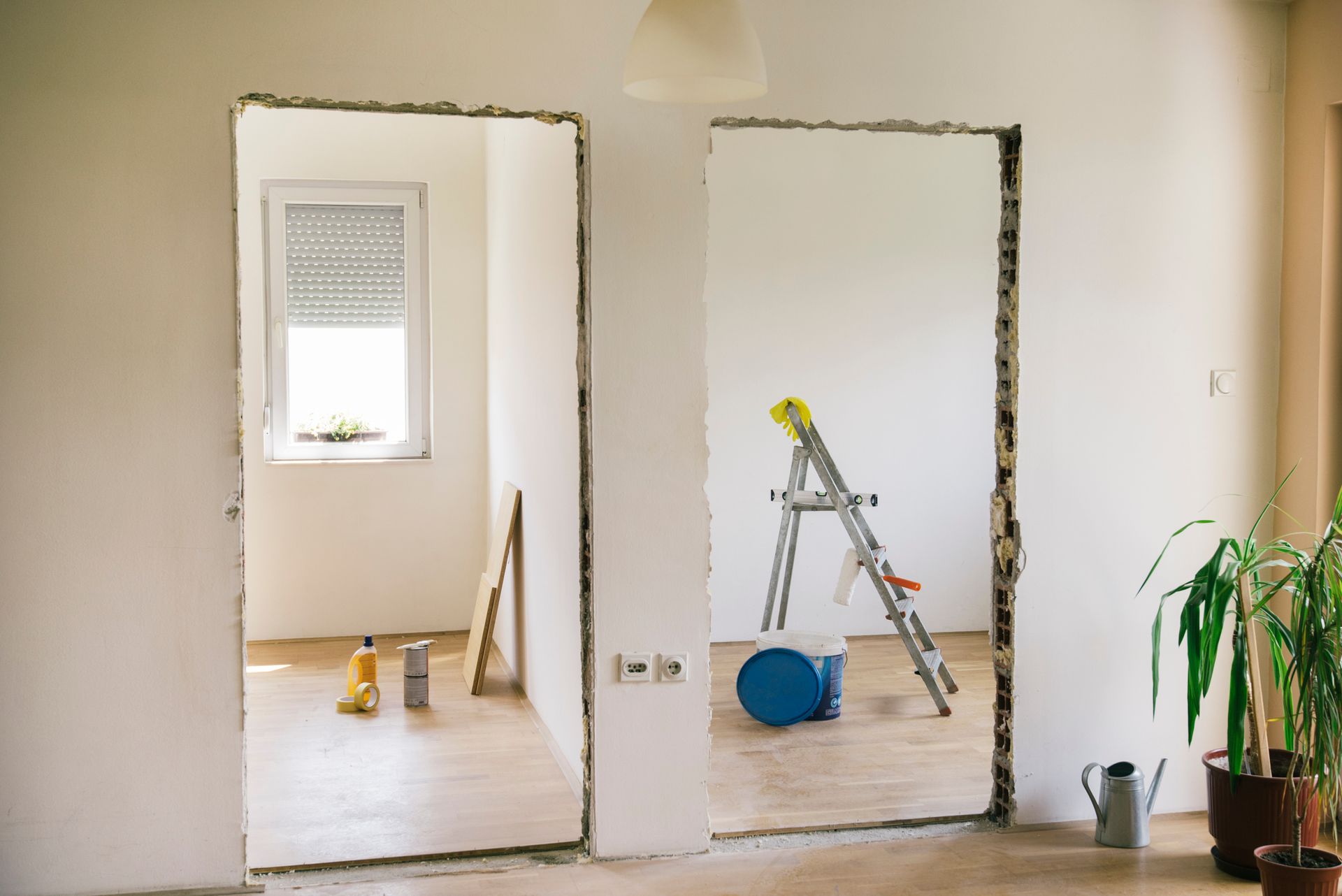 A room is being remodeled with a ladder and potted plants.