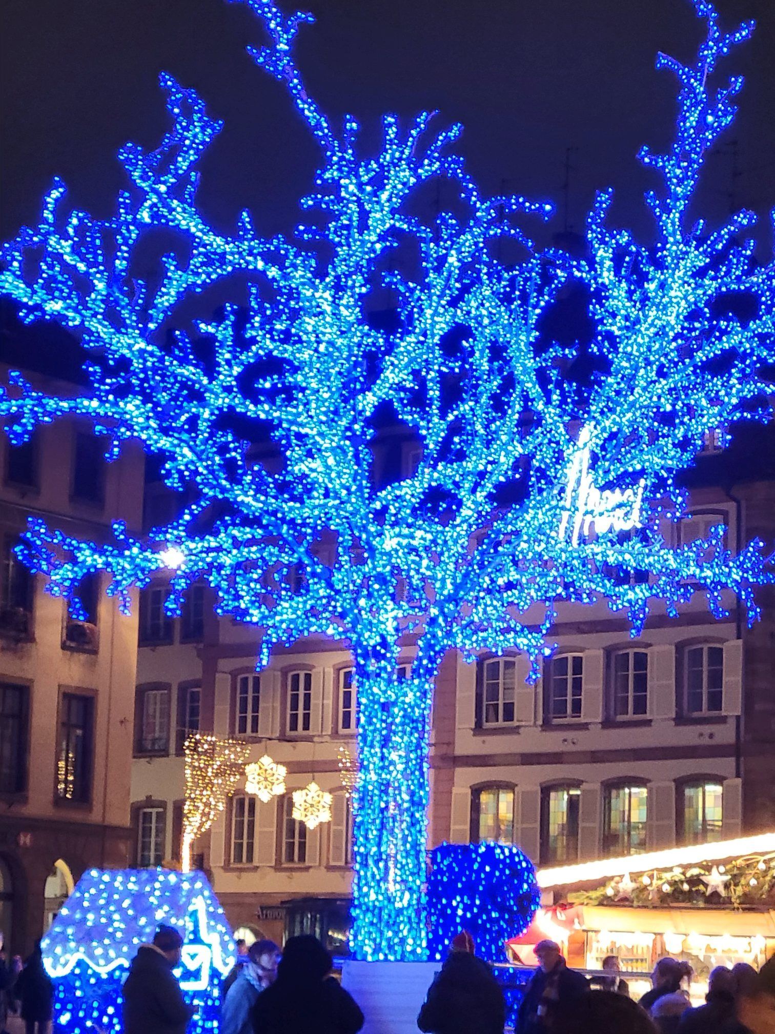 A tree with lots of blue lights on it