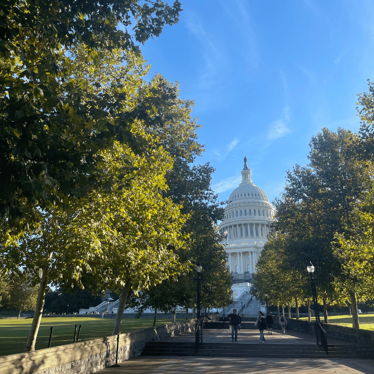 U.S. Capitol Building framed by trees under a blue sky, two people walk toward it.