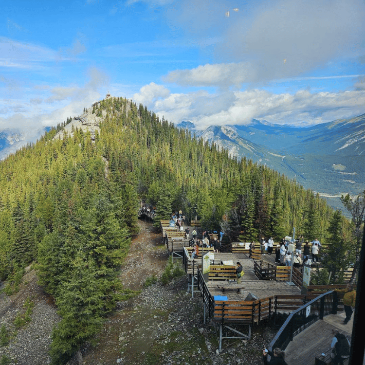 Elevated view of a mountain with a viewing platform and tall trees. Cloudy blue sky backdrop.