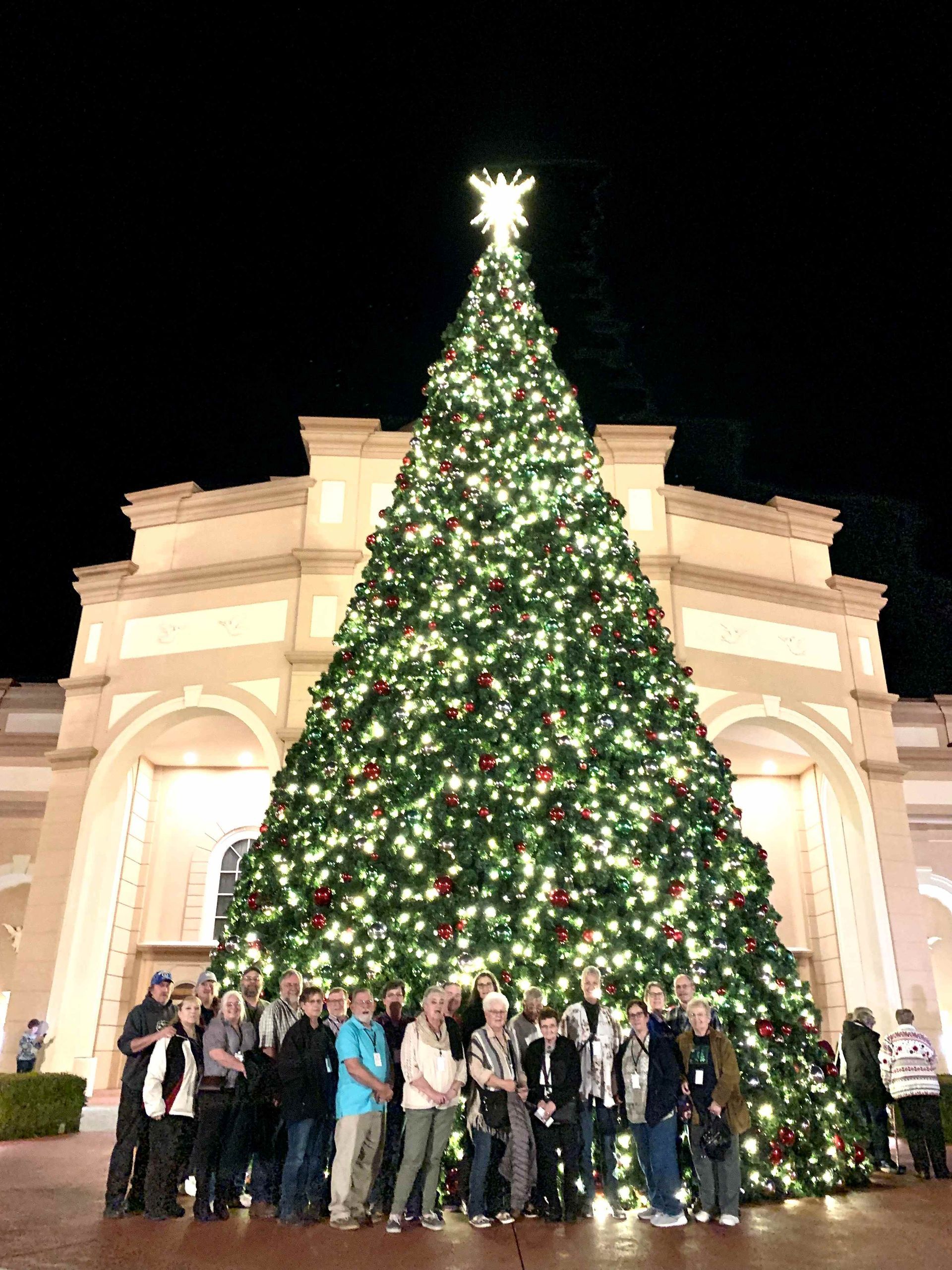 A group of people are posing in front of a large christmas tree.