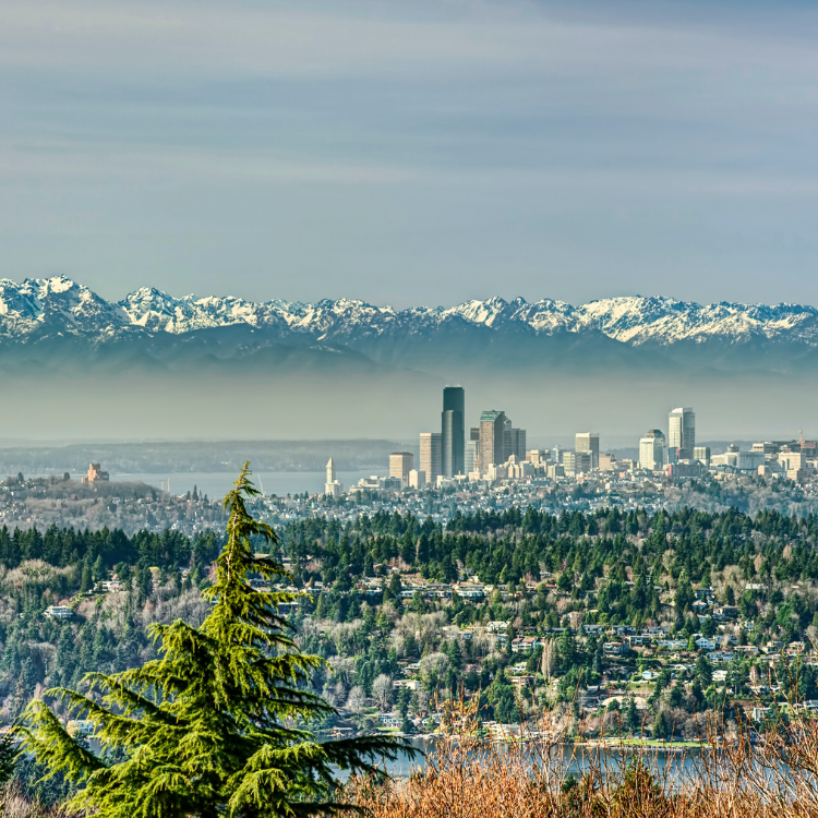 Seattle skyline, snow-capped mountains, and green forest under a hazy sky.