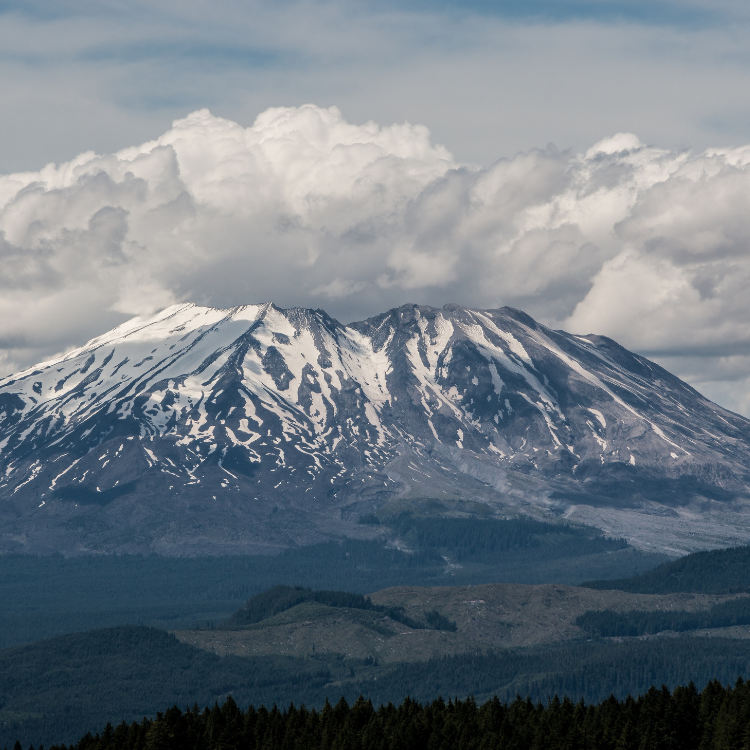 Snow-capped mountain under cloudy skies, with forest in the foreground.