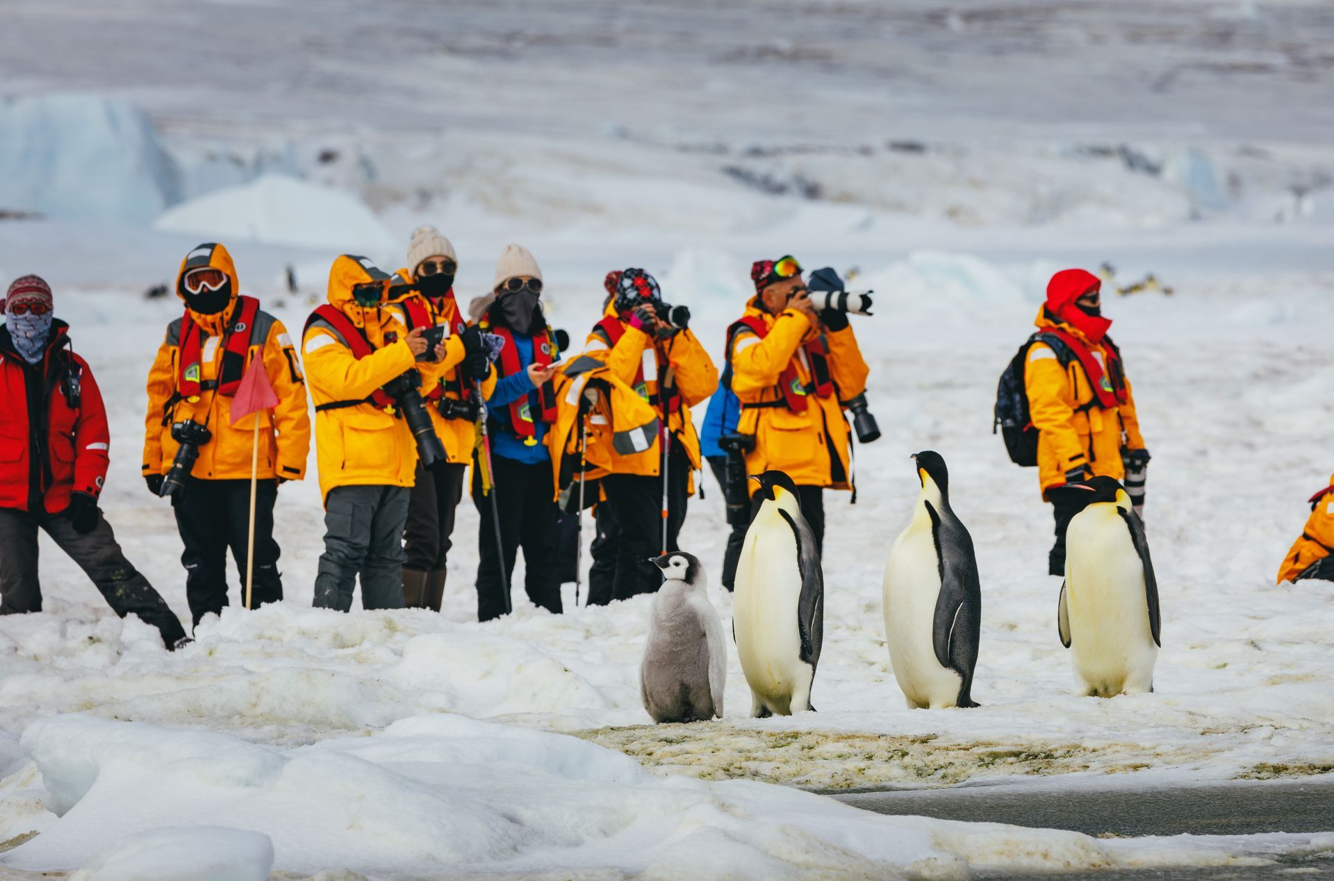 People in yellow jackets and life vests observing penguins in a snowy Antarctic landscape.