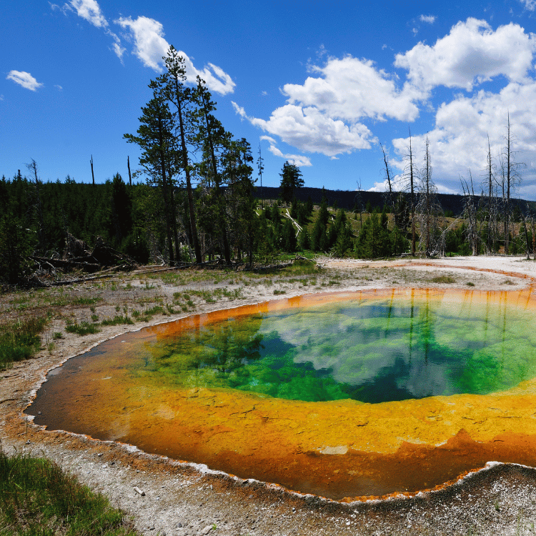 Colorful hot spring in Yellowstone National Park, with vibrant orange, green, and blue hues reflecting a bright sky.