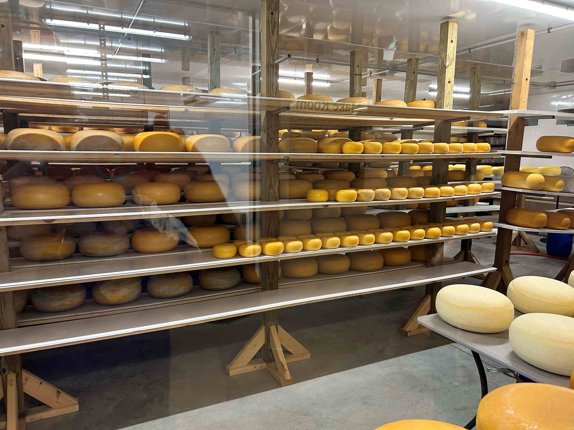 A store filled with lots of different types of cheese