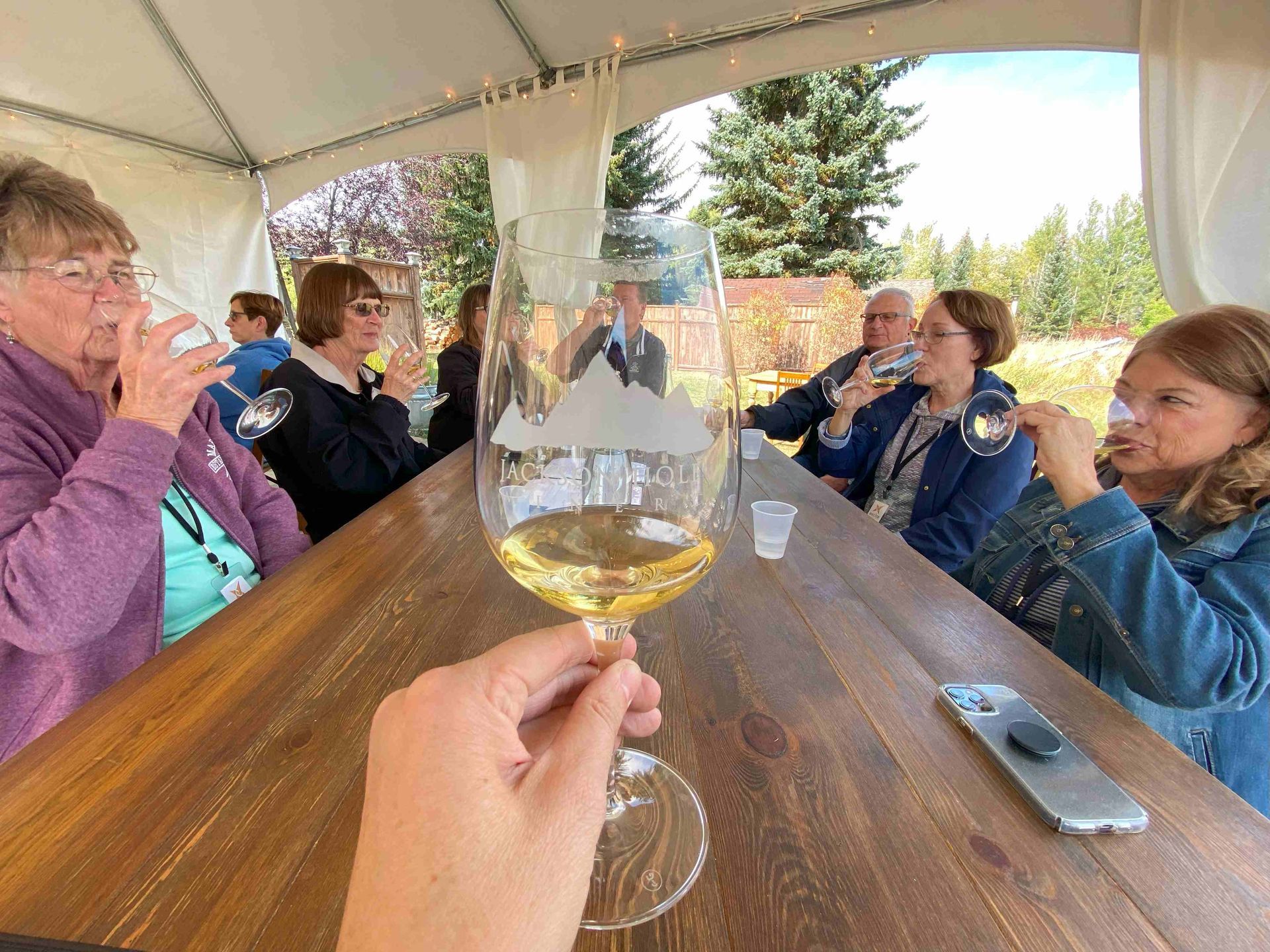 A group of people are sitting at a table drinking wine.