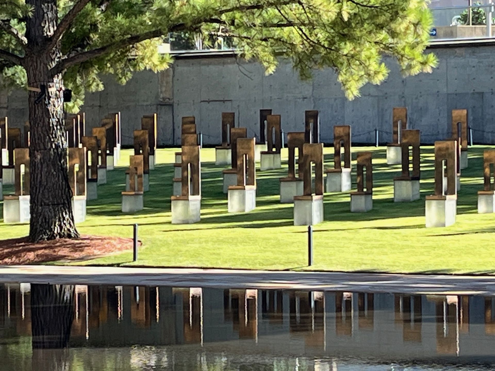 A row of wooden chairs in a park with a tree in the background