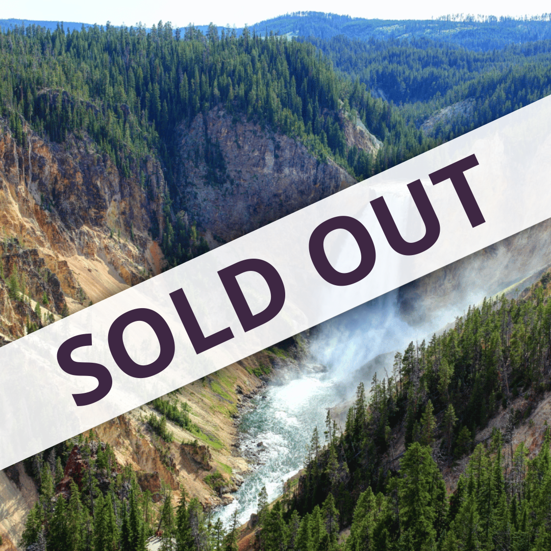 KS Yellowstone & the Tetons Experience 2026