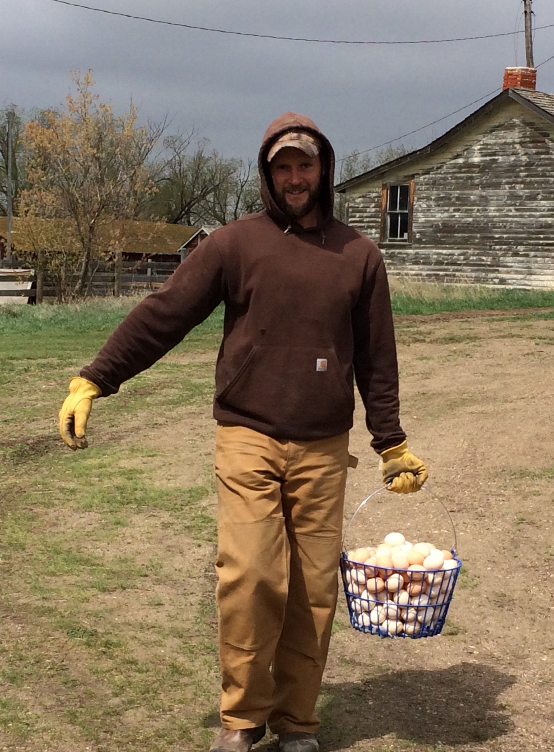 Free-Range Eggs - Happy Hens on TK Ranch!