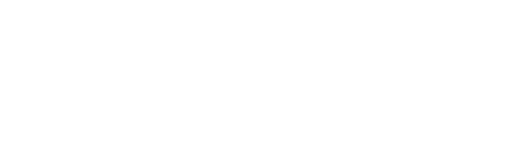 29th Street Logo.