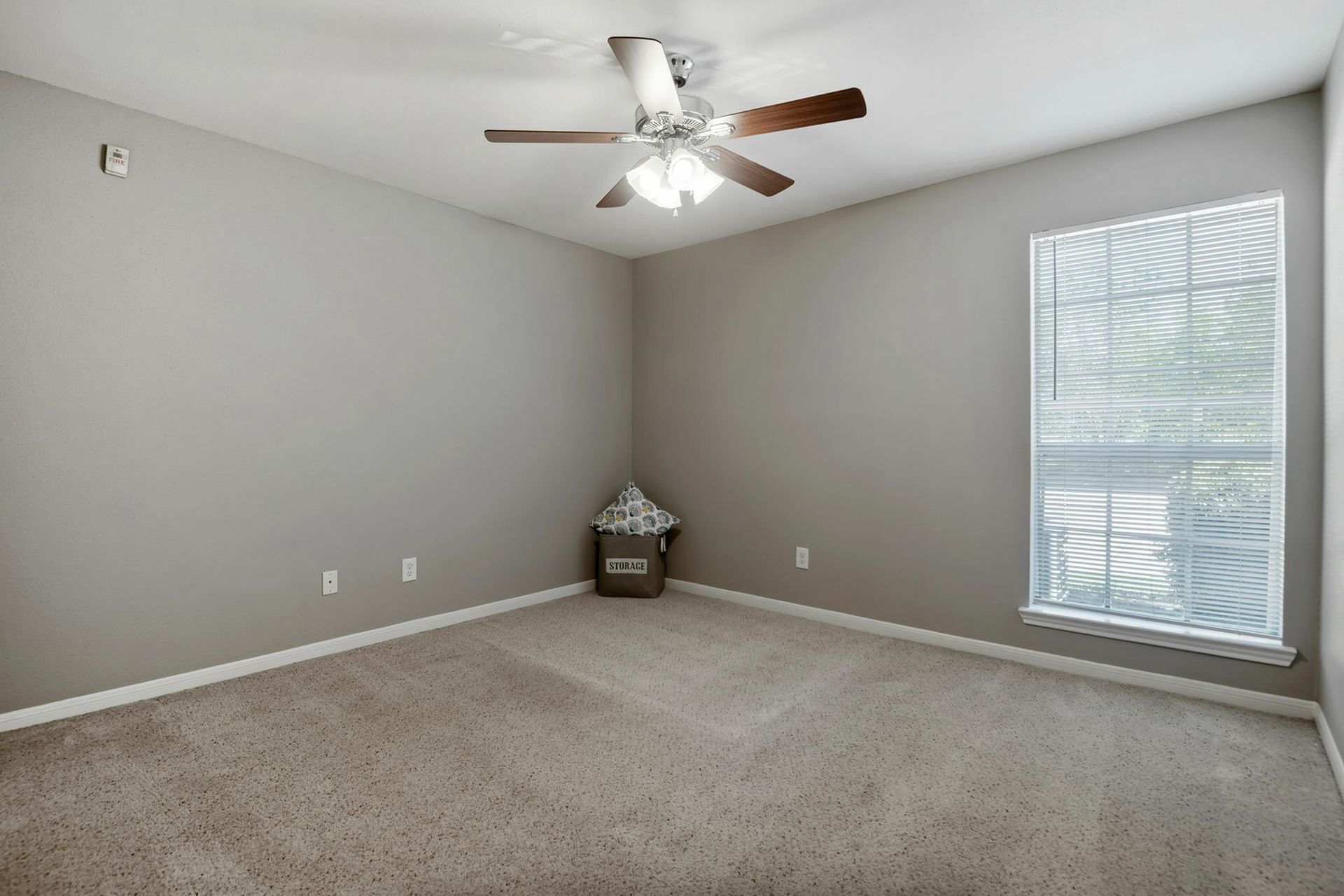 Empty apartment bedroom with beige carpet, gray walls, a ceiling fan, and a window with blinds.