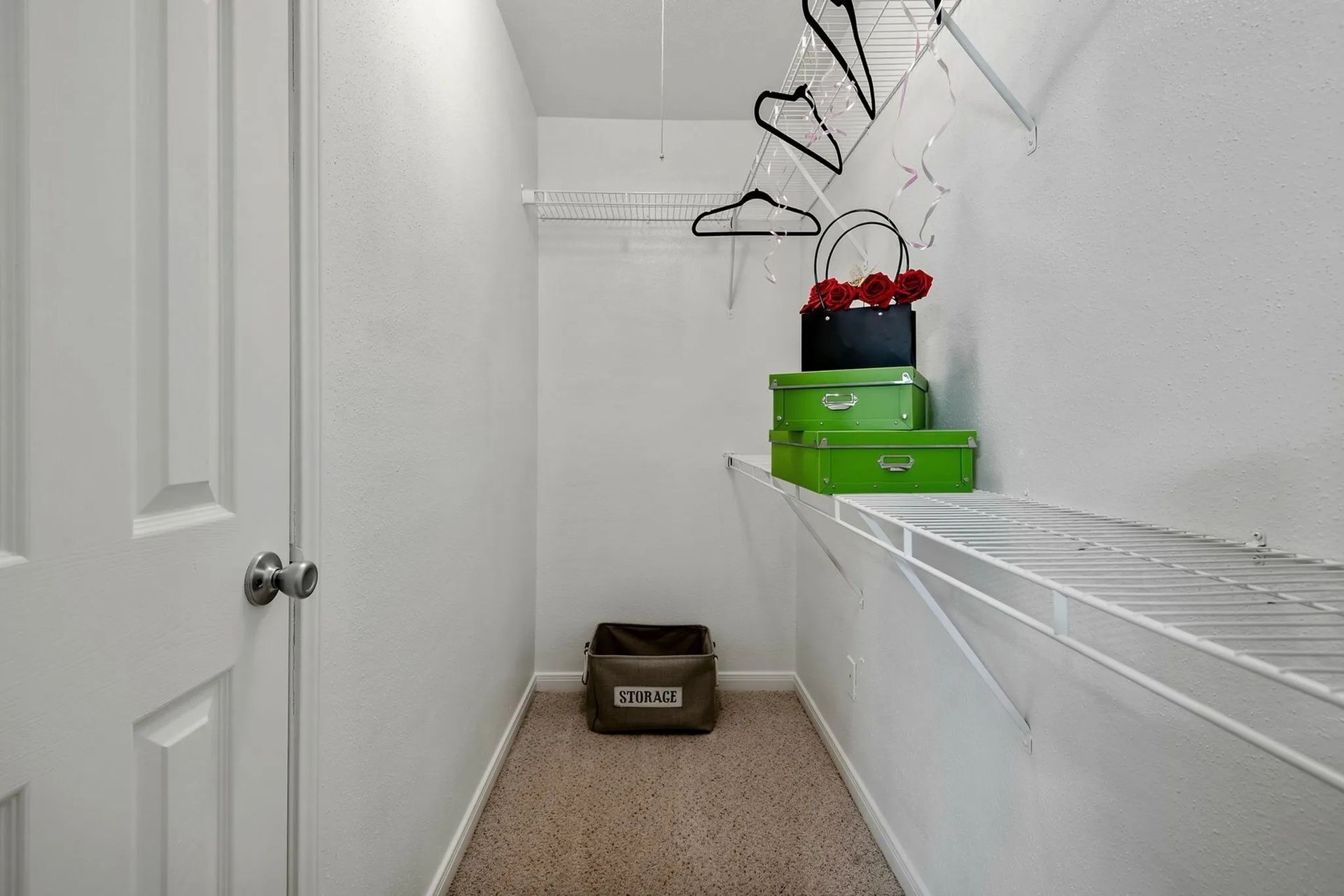 Small white-walled closet with shelving, brown carpet, a door, and a few stored items in green boxes at Driscoll Place in Houston, TX.