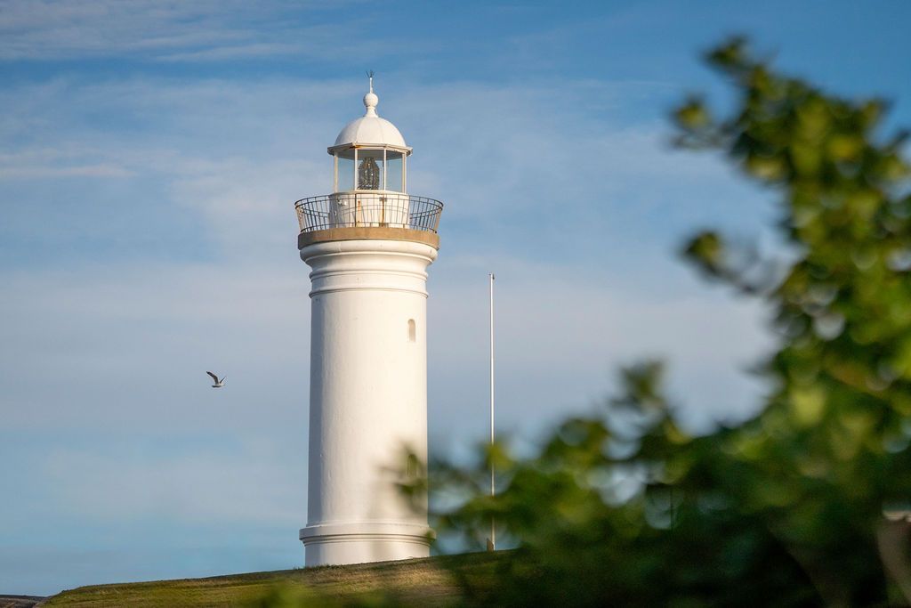 White lighthouse against a blue sky, partially obscured by green foliage in the foreground. — Dr John Salmon, Kiama Family Dental In Kiama, NSW