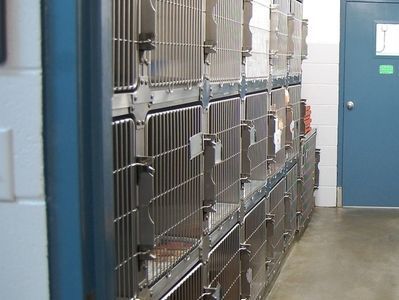 A row of cages in a room with a blue door